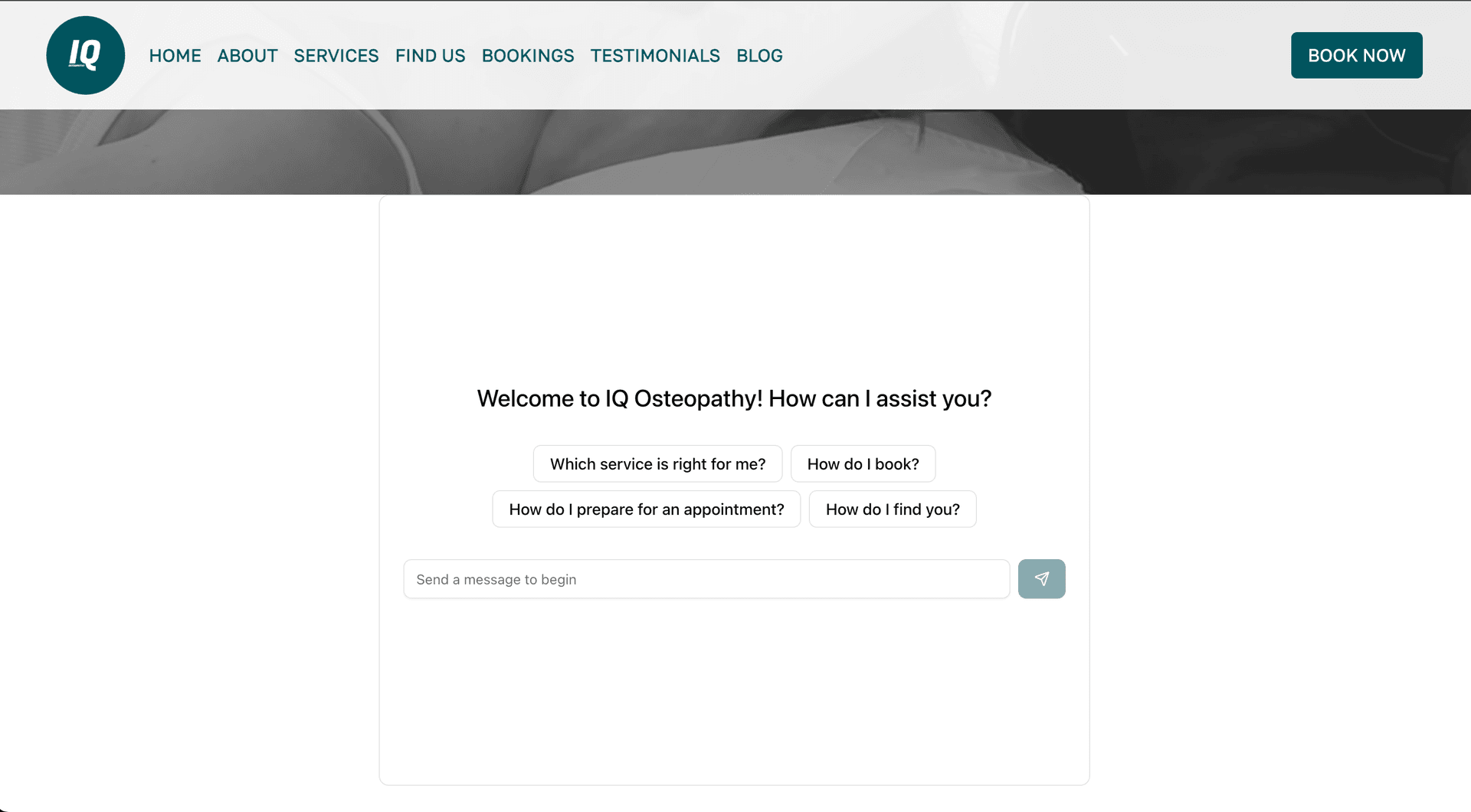 IQ Osteopathy AI Chatbot Interface